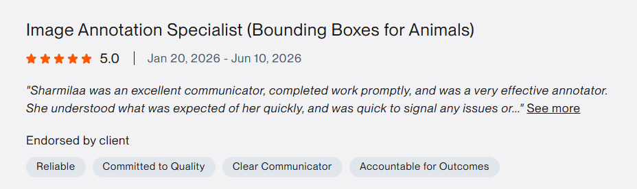 Upwork testimonial 2